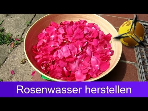 Rosenwasser selber machen / herstellen