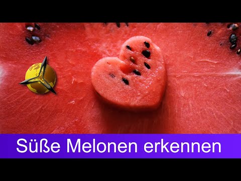 Reife Wassermelonen: Süße Melonen erkennen &amp; kaufen