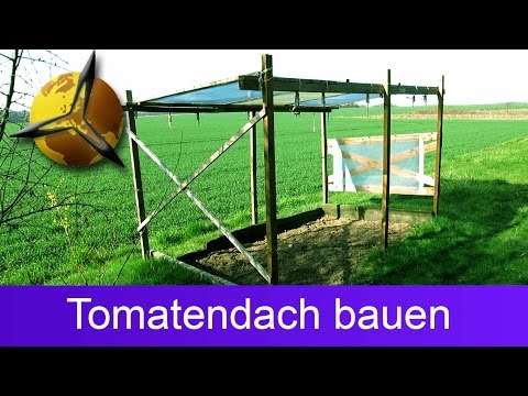 Tomatendach: Regenschutz für Tomaten selber bauen