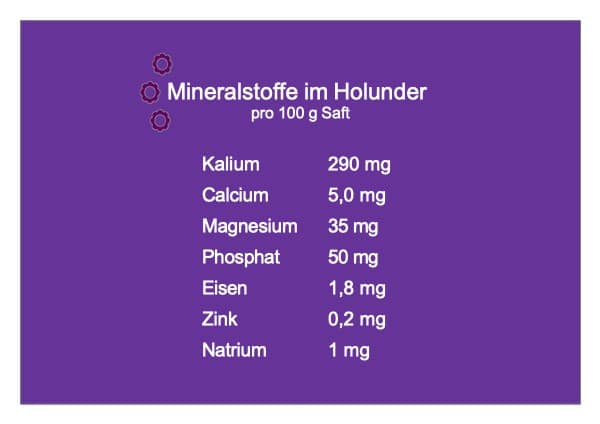 Inhaltsstoffe Mineralien in Holunderbeeren