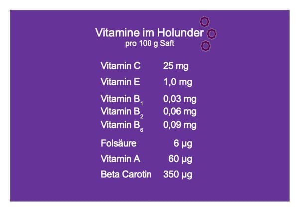Inhaltsstoffe Vitamine im Holunder