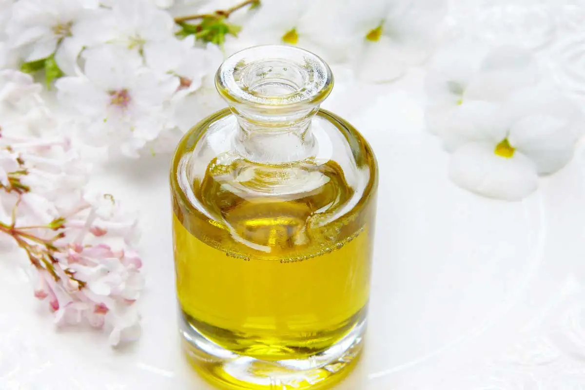 Aloe-Vera-Gesichtswasser selber machen  Philognosie