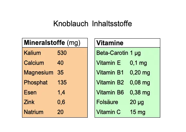 Knoblauch Inhaltsstoffe