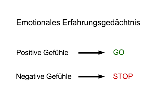 Kluge Entscheidungen treffen