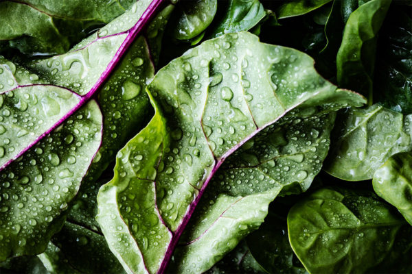 Salat gegen Schlafstörungen