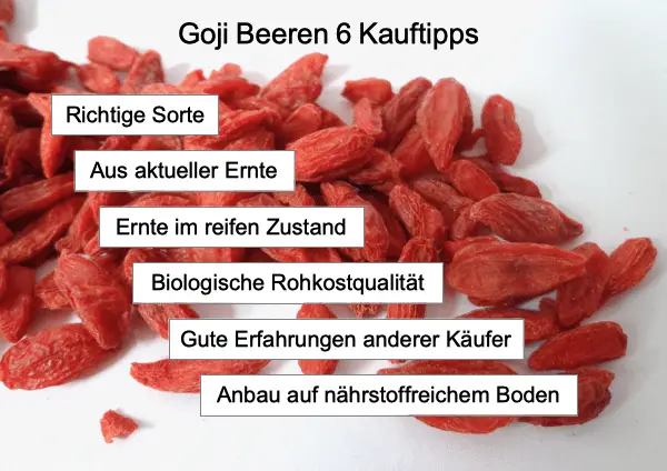 Goji Kauftipps auf einen Blick