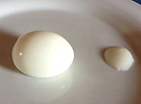 Kalte Platten dekorieren - Maus aus Eiern basteln