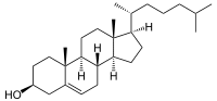 Cholesterin