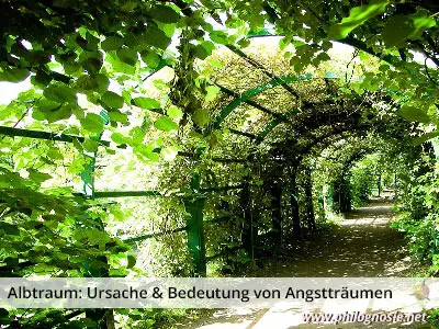 Albtraum: Ursache & Bedeutung von Angstträumen