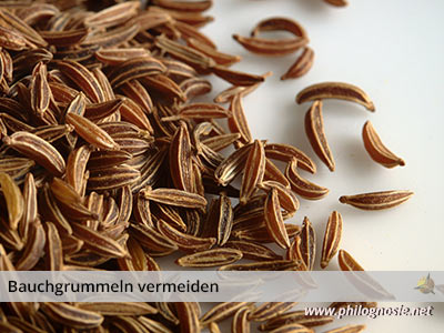 Gegen Blähungen Vorbeugen Bauchgrummeln