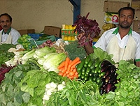 Dubai Markt Reise