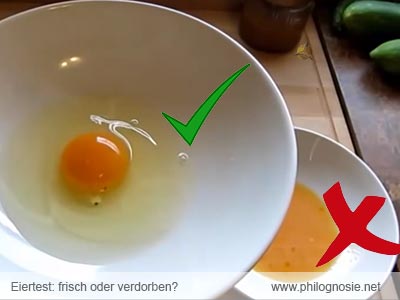 Eiertest Ei beim öffnen testen