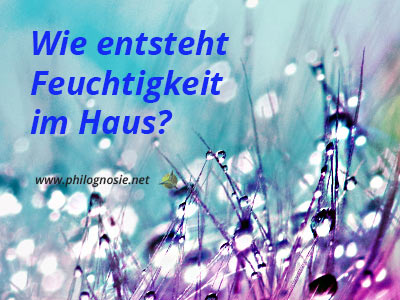 Wie entsteht Feuchtigkeit /Luftfeuchtigkeit in der Wohnung?