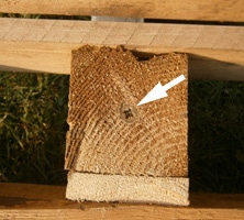 Anleitung zum selber machen Gartenbank