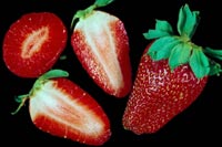 Gesichtsmaske zum Selbstmachen mit Erdbeeren