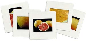 Grapefruit