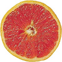 Grapefruit Diät abnehmen Bitterstoffe