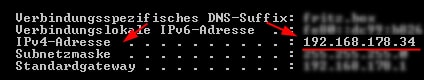 IP Adresse herausfinden Vista anzeigen