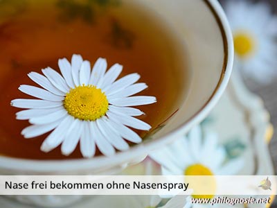 Kamillentee: Freie Nase ohne Nasenspray