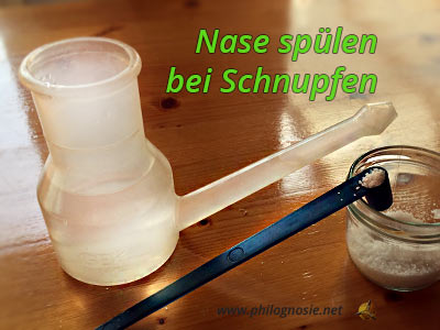 Nasenspülung salz - Die ausgezeichnetesten Nasenspülung salz ausführlich analysiert!
