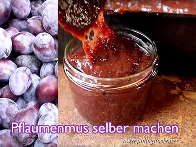 Pflaumenmus selber machen