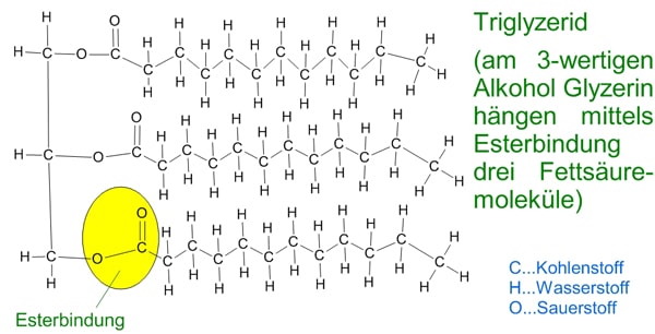 Biotreibstoffe Was ist das