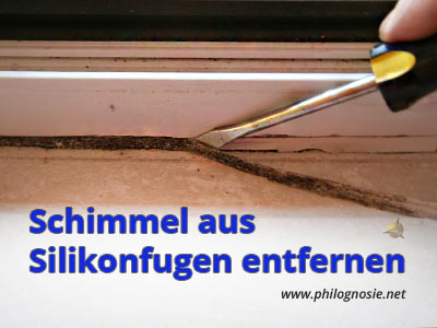 Schimmel aus Silikonfugen am Fenster entfernen