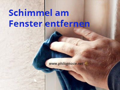 Schimmel am Fenster entfernen