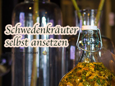 Schwedenbitter: Schwedenkräuter selbst ansetzen