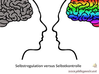 Selbstregulation / Selbstkontrolle: Ziele erreichen mit Verstand und Gefühl