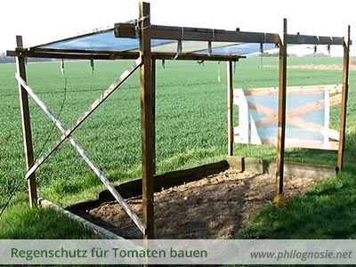 Tomatendach: Regenschutz für Tomaten bauen