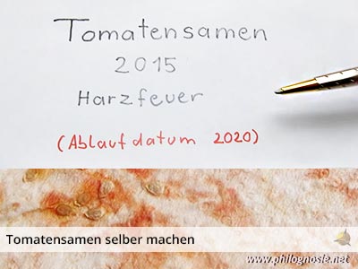 Tomatensamen selber machen - Haltbarkeit - Lagerung