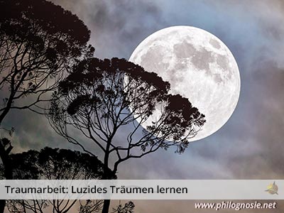 Traumarbeit: Luzides Träumen lernen