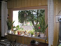 Umzug neue Wohnung Tipps