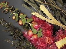 Trockenblumen selbst gemacht