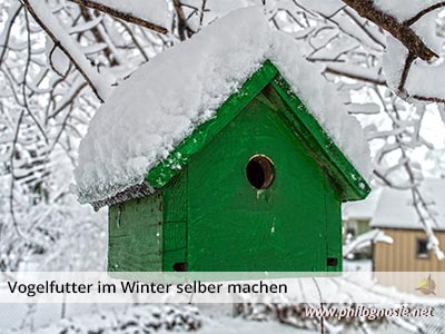 Vogelfutter selber machen 7 Rezepte und Anleitungen