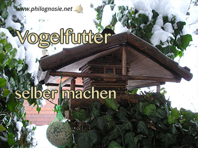 Vogelfutter im Winter selber machen