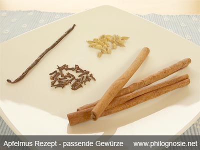 Apfelmus Rezept einfach selber kochen