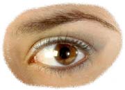 Augen Schminke
