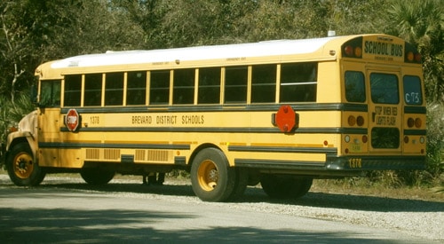 Autofahren USA Verkehrsregeln Schulbuss