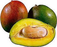Avocado Maske