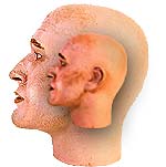 Beobachter
