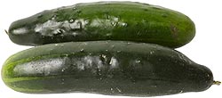 Bio Kosmetik mit Gurken