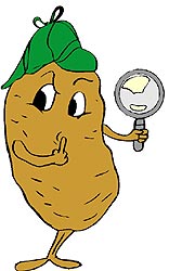 Bio Kosmetik mit Kartoffeln