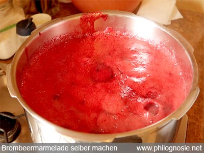 Brombeermarmelade machen einkochen 1