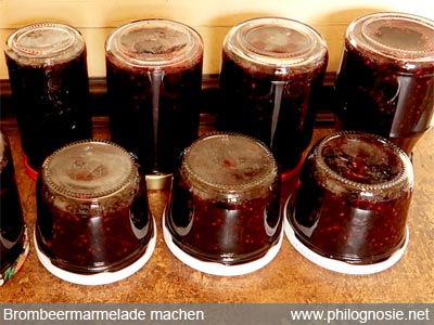 Brombeermarmelade machen einkochen