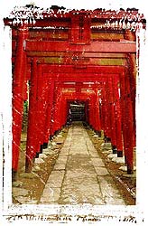 doorway-pages