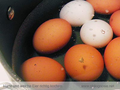Kochzeiten Eier weiche und harte Eier richtig kochen