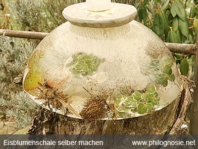 Eisdeko Eisblumenschale selber machen