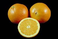 Ernährung Ernährungstipp Winter gesund
